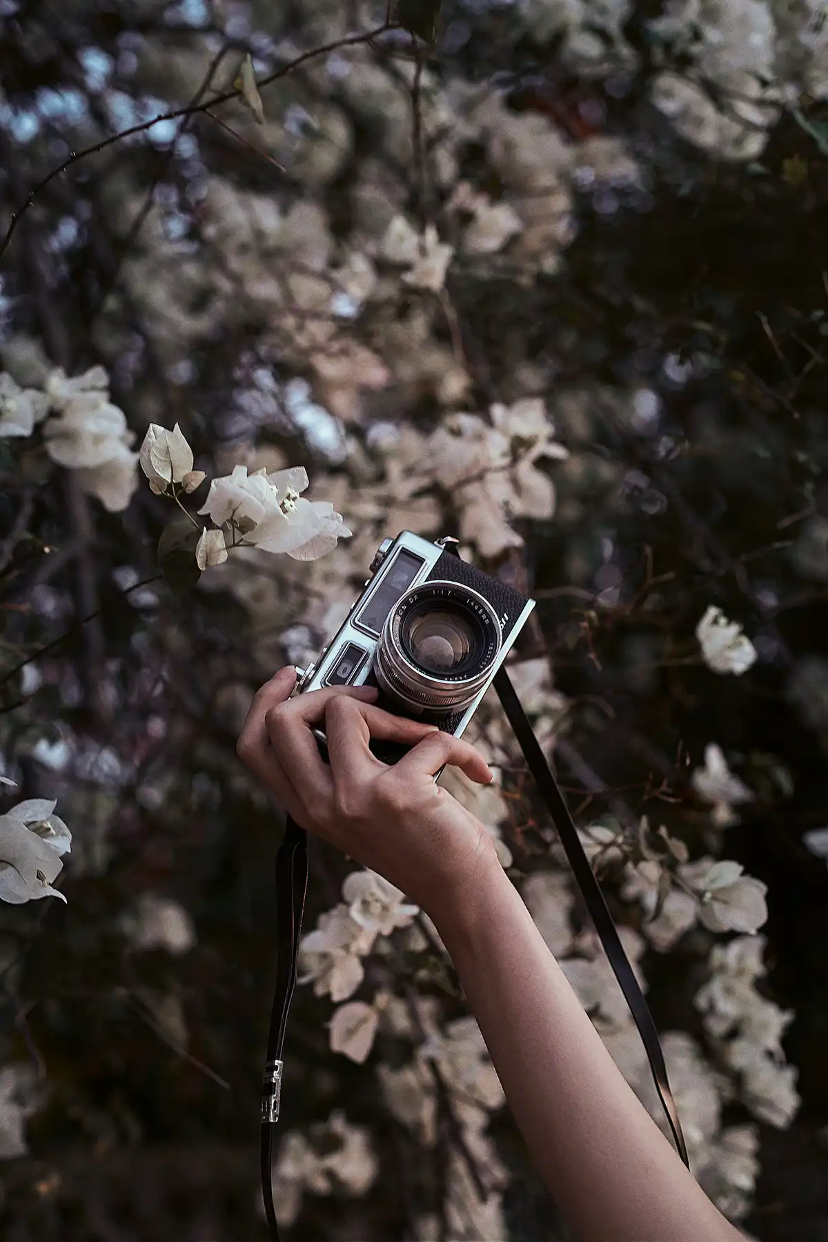 hisu-lee-OQFL4qvuaec-unsplash